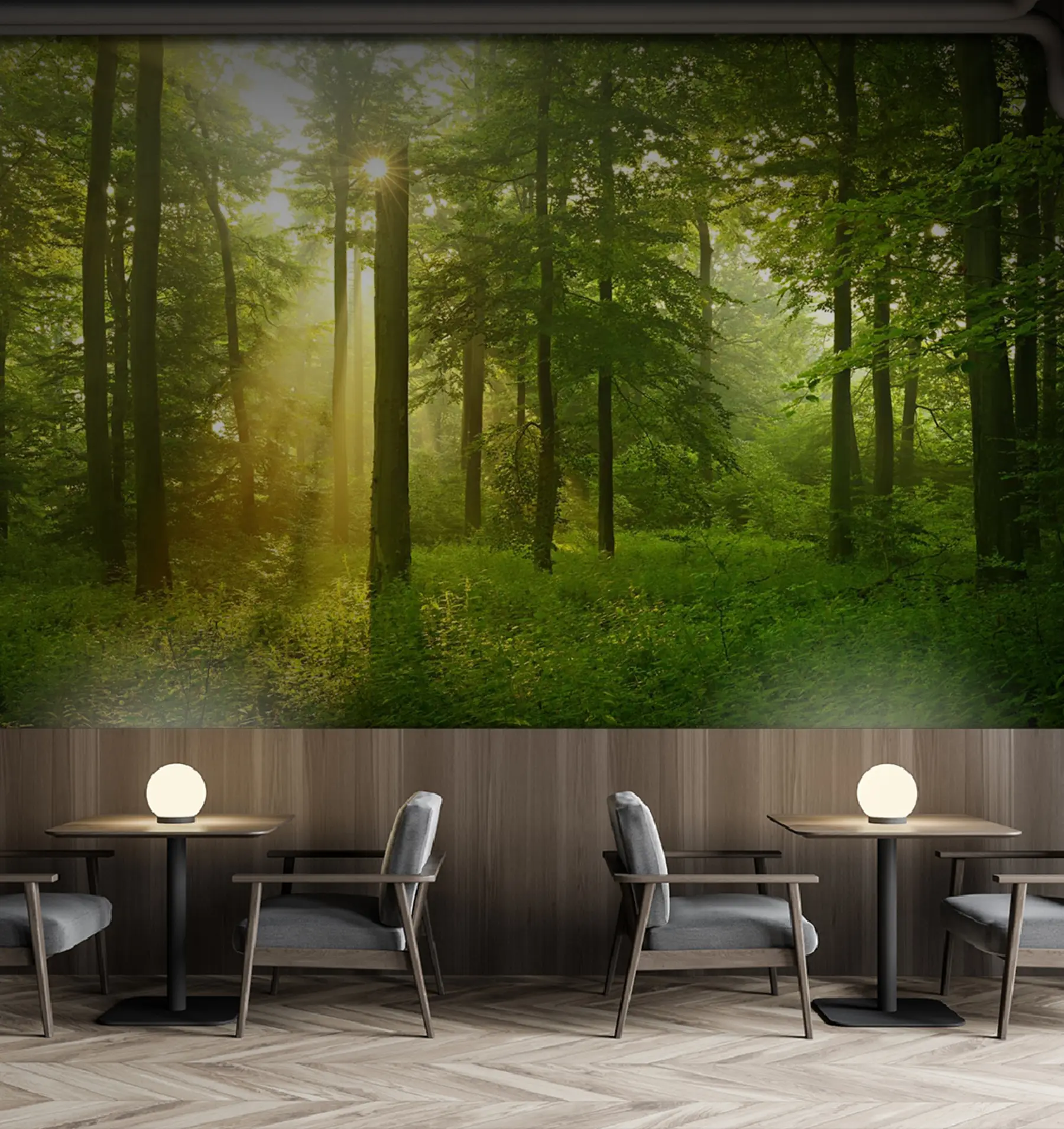 wall murals Тишина у сунчаној шуми u57295