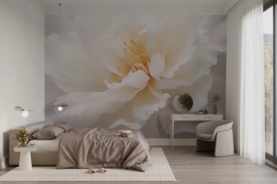 wall murals Цветан цвет божура са капљицама росе w03602