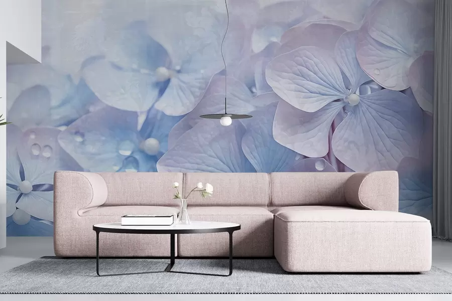 wall murals Винтаге текстурирано плаво и розе цвеће хортензије са капљицама воде на латицама, замагљена ружичаста позадина w08981