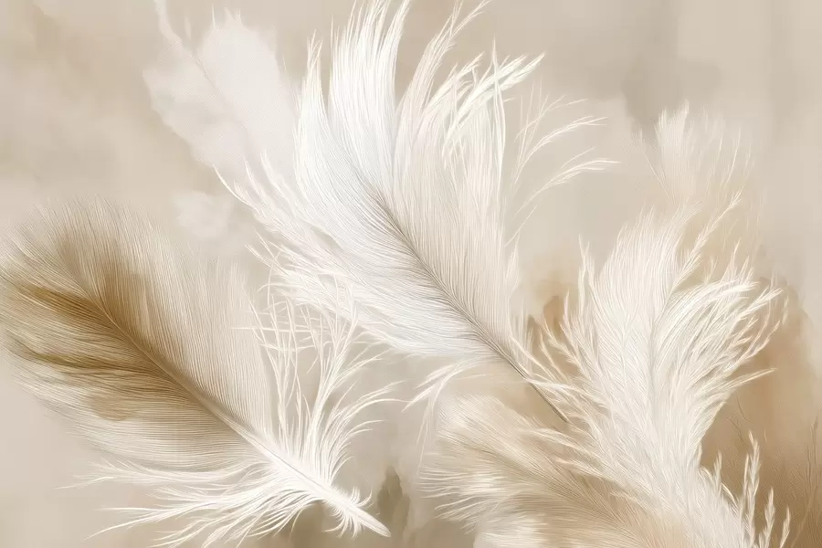 wall murals Летеће прозрачно перје на беж позадини w09102