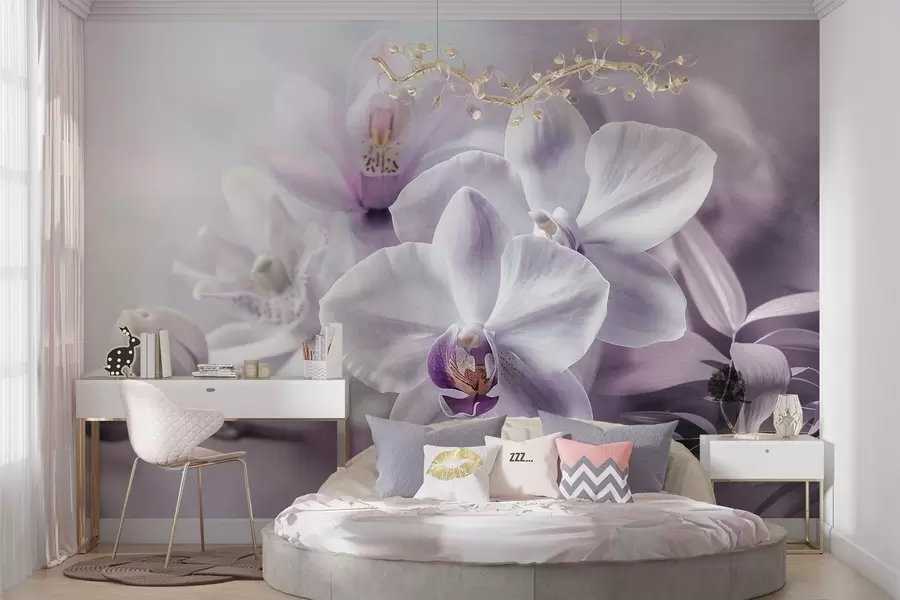 wall murals Бели и јорговани нежни цветови орхидеје, меко осветљење и замућена текстурирана позадина w09155