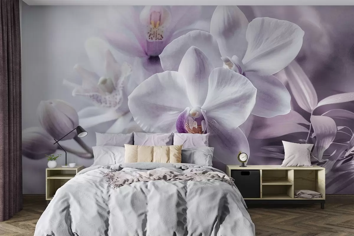 wall murals Бели и јорговани нежни цветови орхидеје, меко осветљење и замућена текстурирана позадина w09155