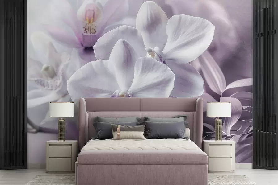 wall murals Бели и јорговани нежни цветови орхидеје, меко осветљење и замућена текстурирана позадина w09155