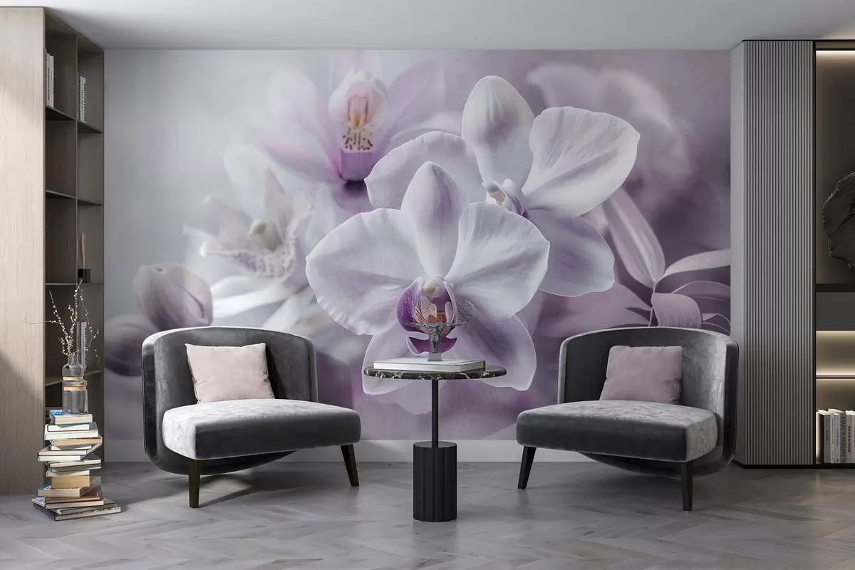 wall murals Бели и јорговани нежни цветови орхидеје, меко осветљење и замућена текстурирана позадина w09155