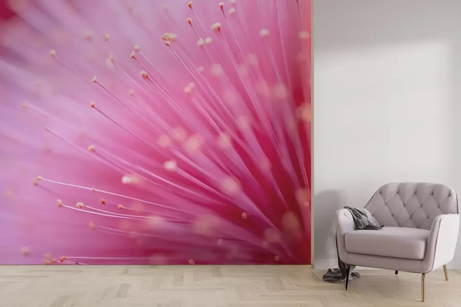 wall murals Ружичасти цветни прашници у макроу, деликатна апстракција w04154