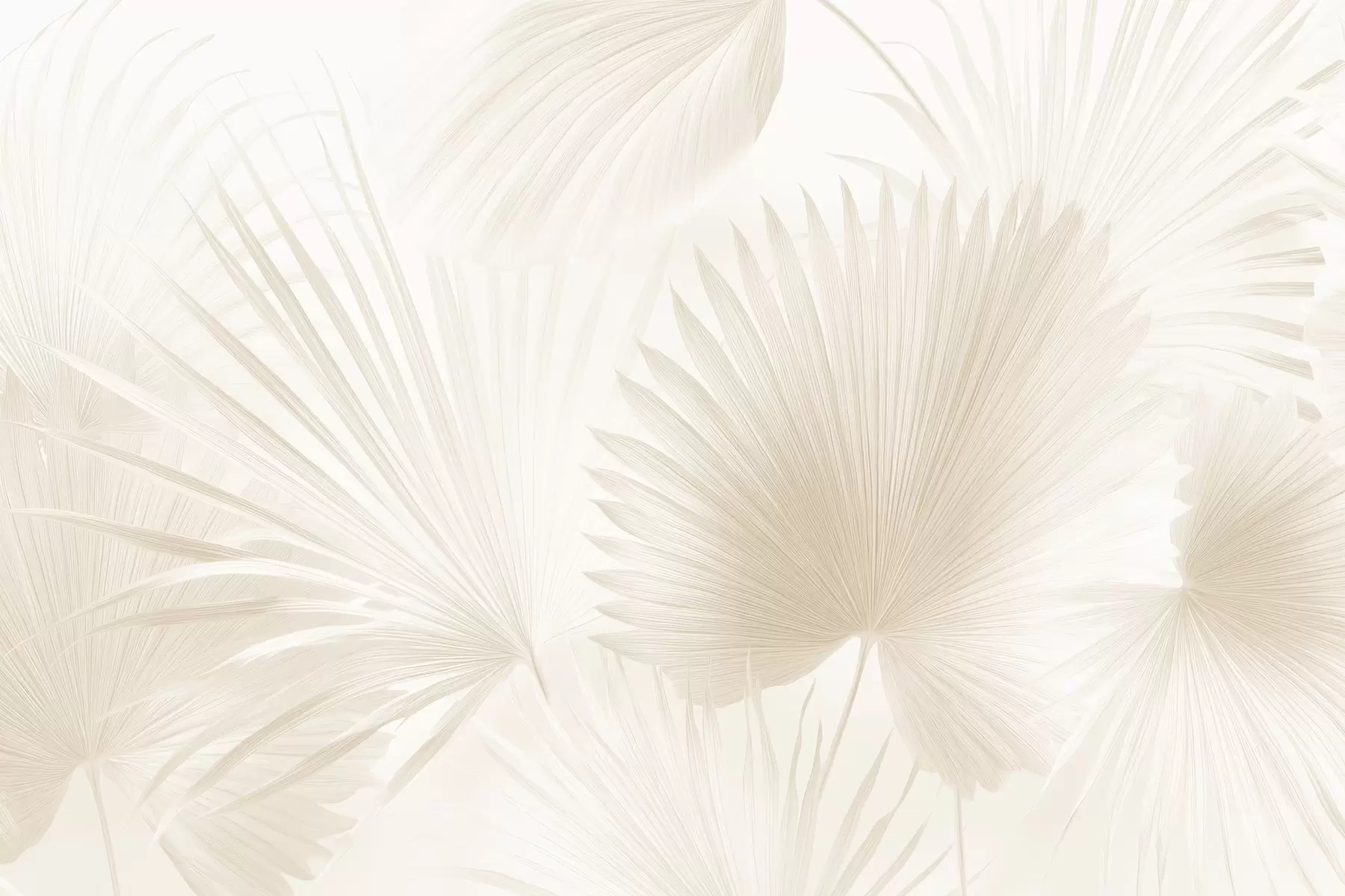 wall murals Мекане лепезе од тропског лишћа на светлој позадини w09084v1