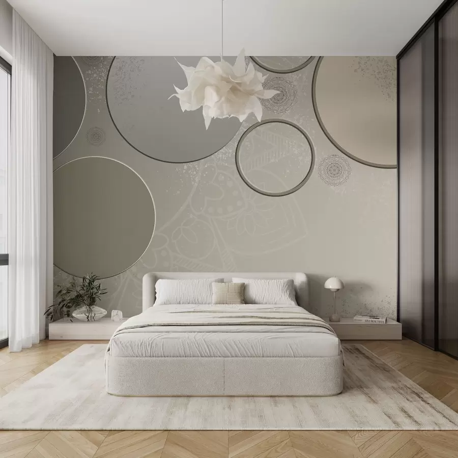 wall murals Разноликост кругова на провидној позадини w09181