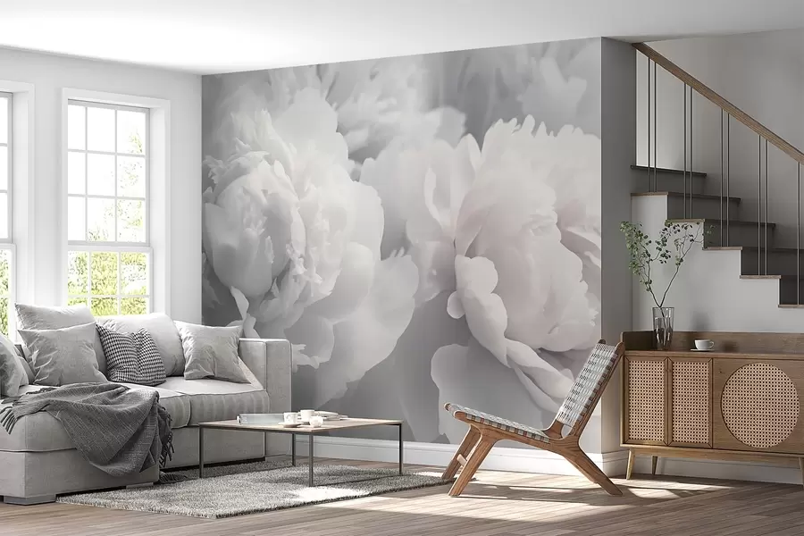 wall murals Пеониес w04336
