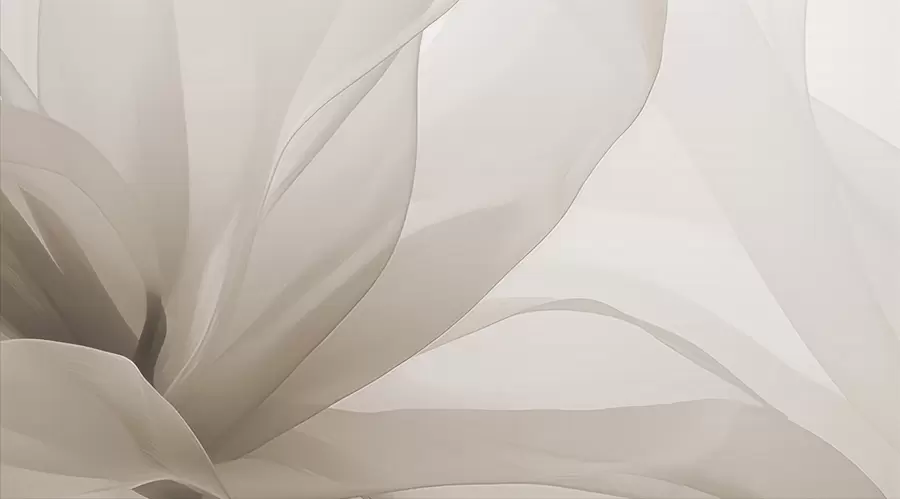 wall murals Апстрактни цвет w04435