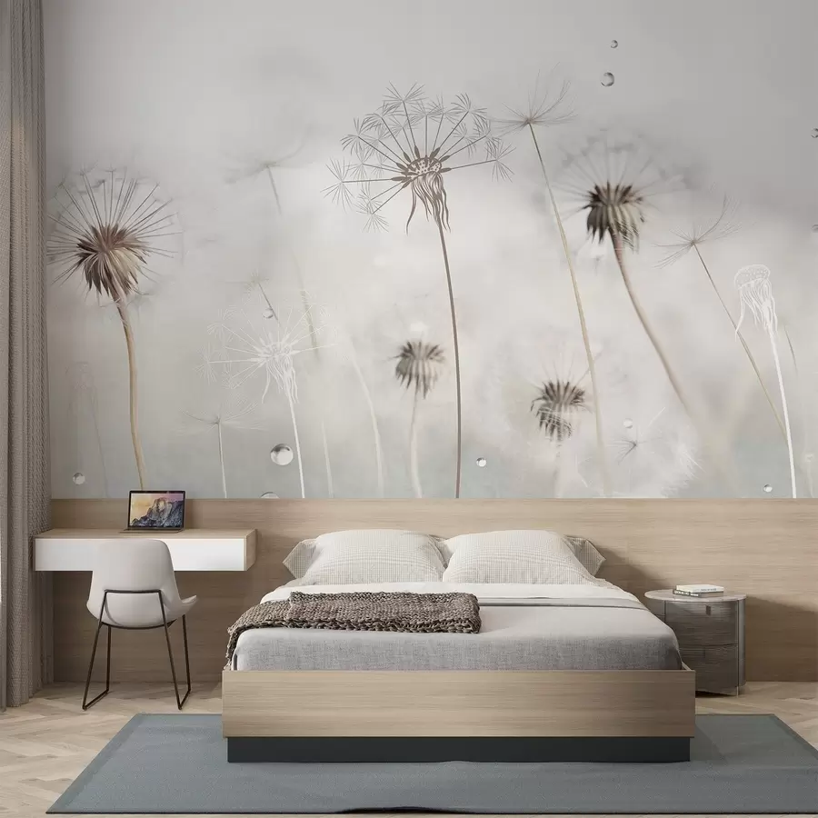 wall murals Маслачци са капљицама воде, бела позадина, изблиза, меко светло, природа, ботаничко, етерично, нежно, минималистички w09399