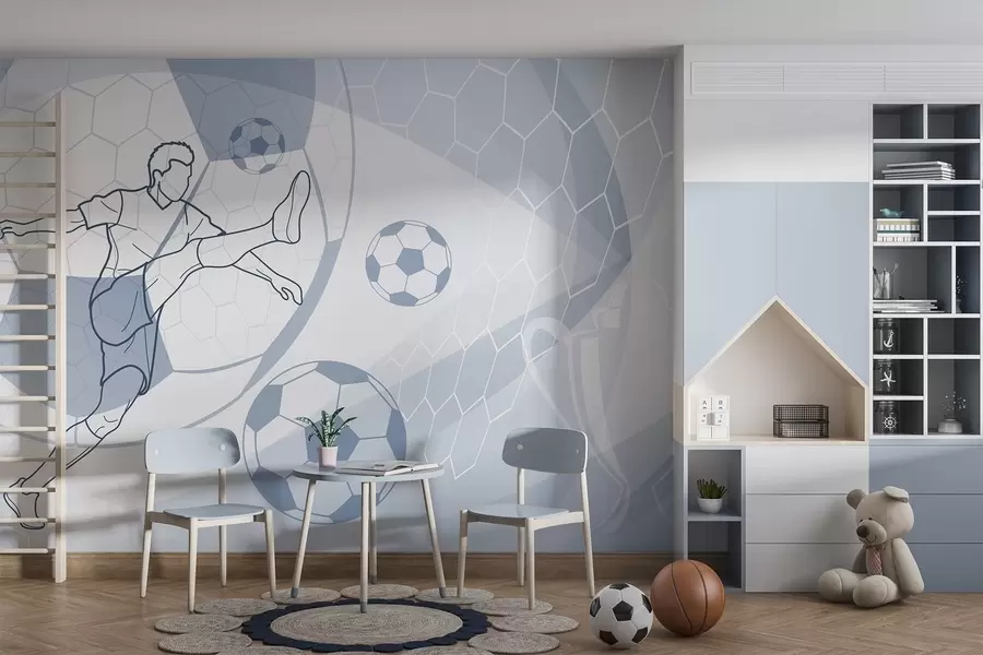 wall murals Фудбалер и лопте w04601