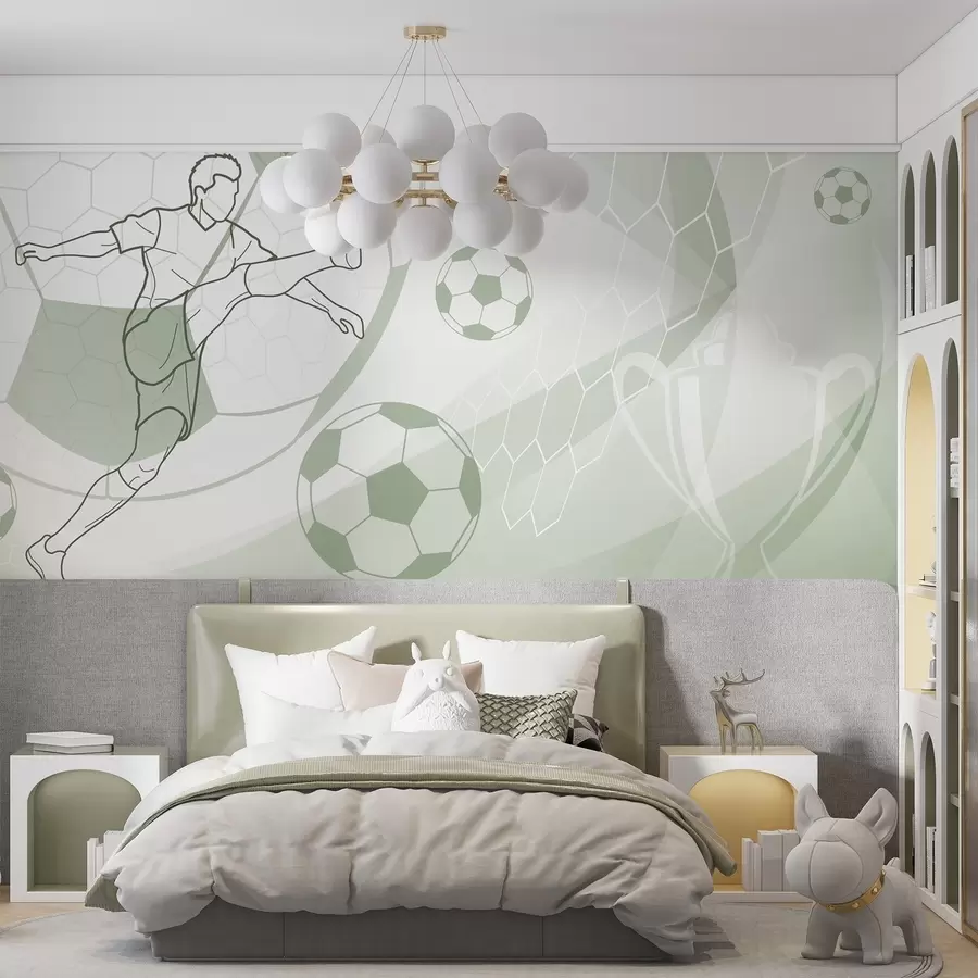 wall murals Фудбалер и лопте w04601v2