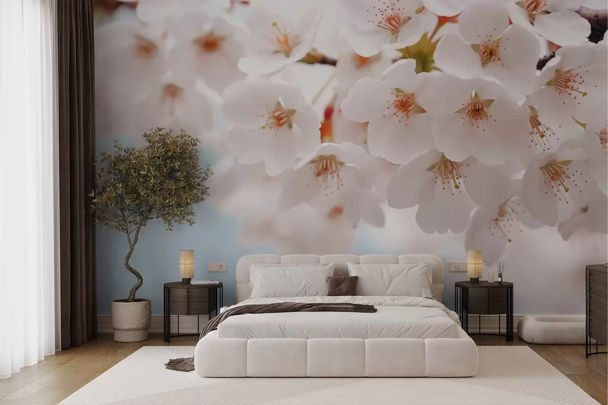 wall murals Нежни цветови трешње у уметничком стилу w04160