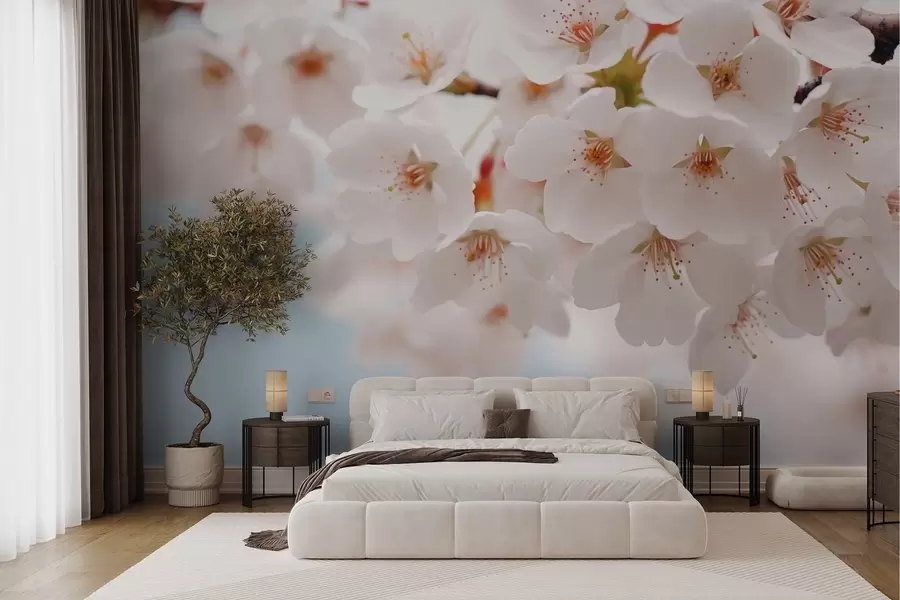 wall murals Нежни цветови трешње у уметничком стилу w04160