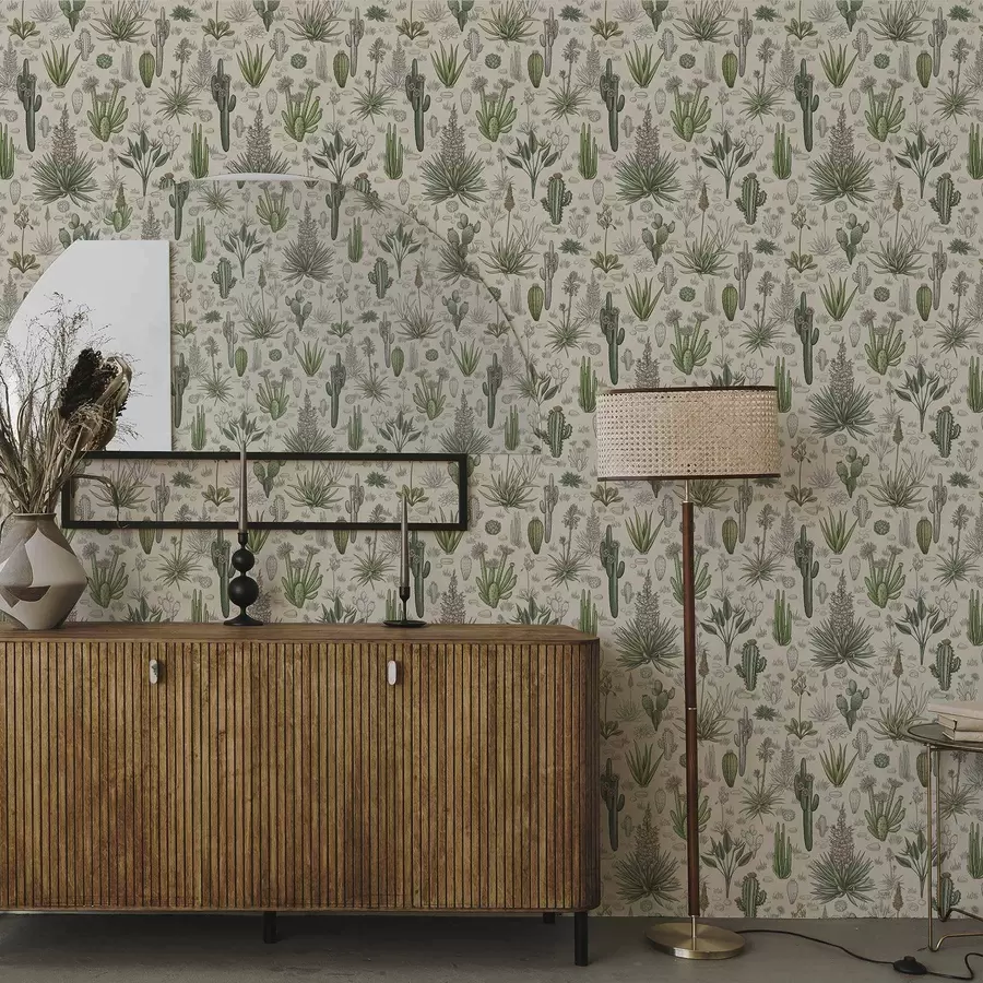 wall murals Кактуси и сукуленти на топлој позадини, детаљан отисак a00666