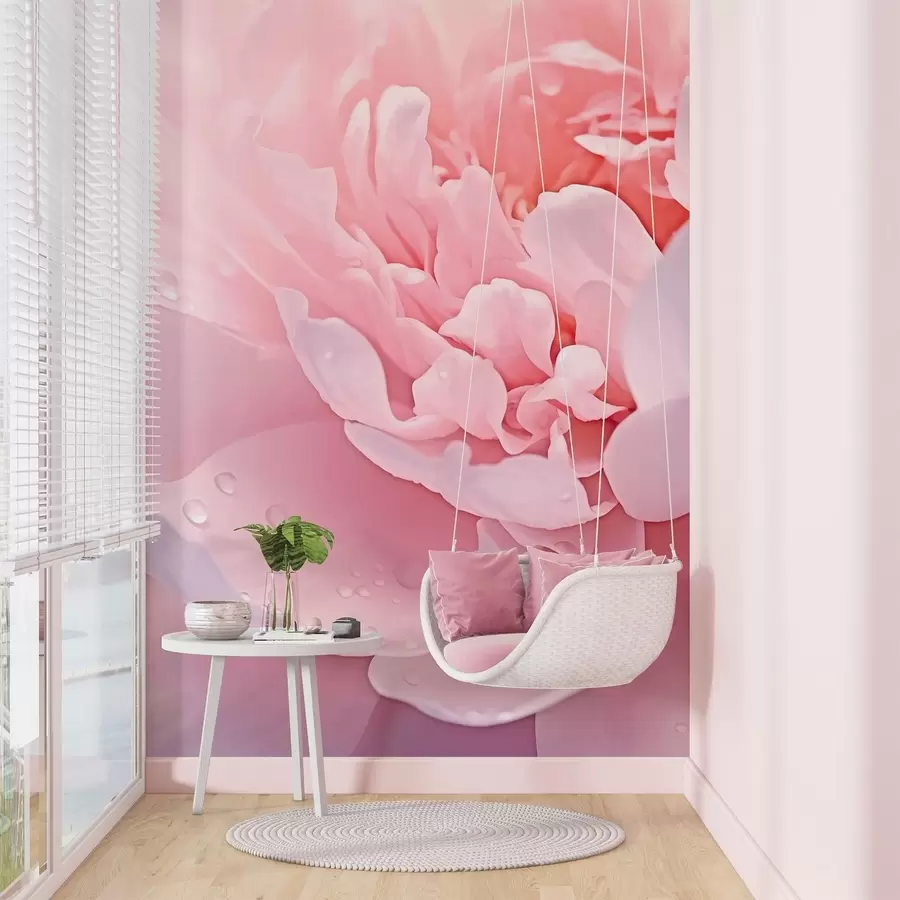 wall murals Велике латице божура w04715