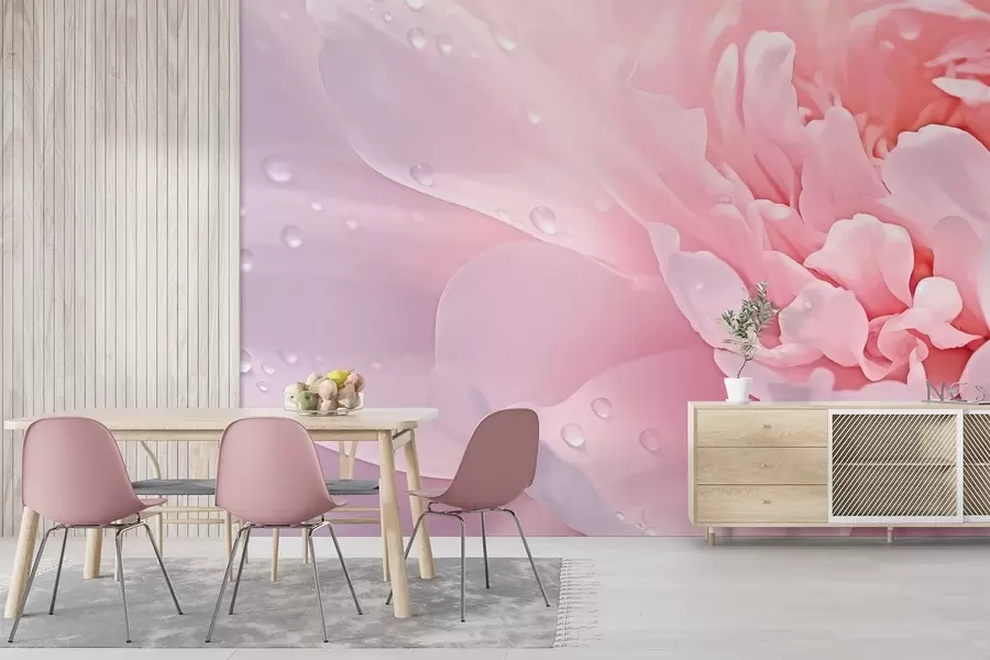 wall murals Велике латице божура w04715