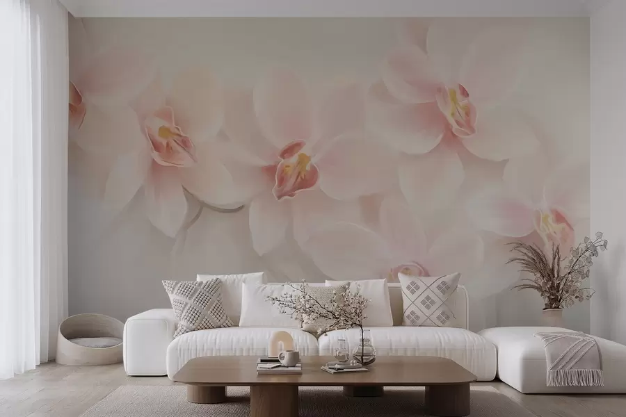 wall murals Орхидеје w04723