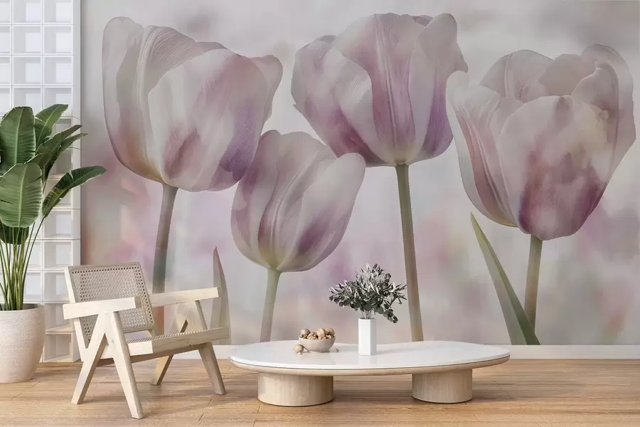 wall murals Тулипани у нежним бојама w04700