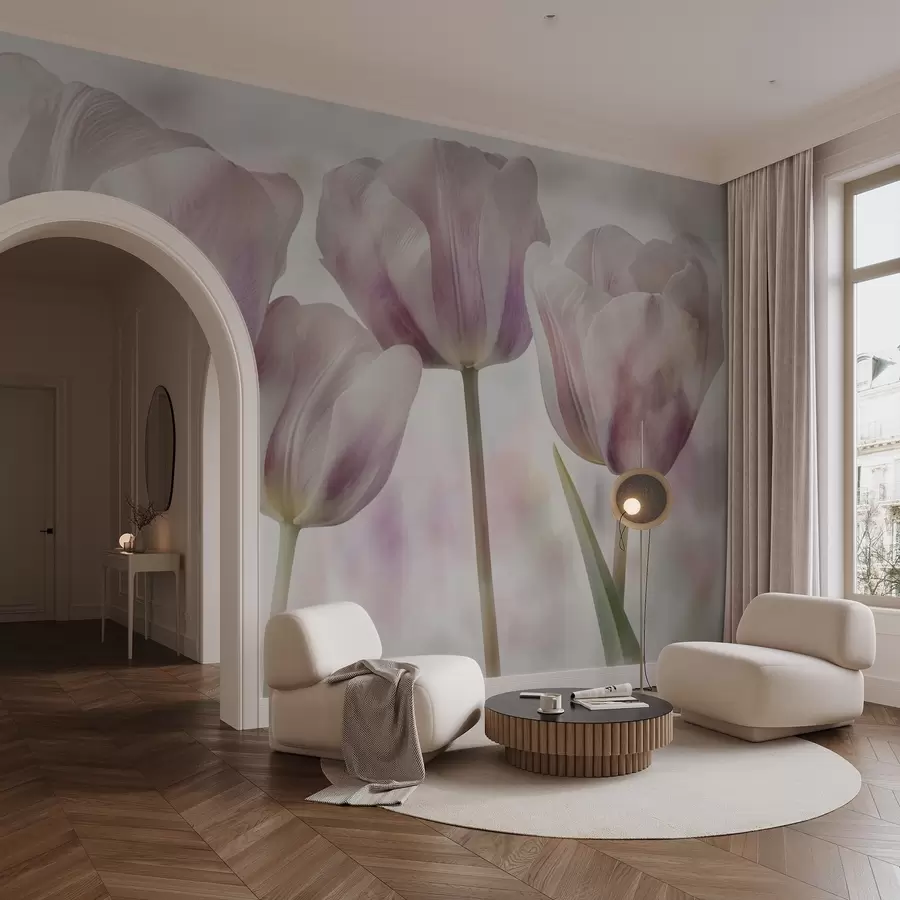 wall murals Тулипани у нежним бојама w04700