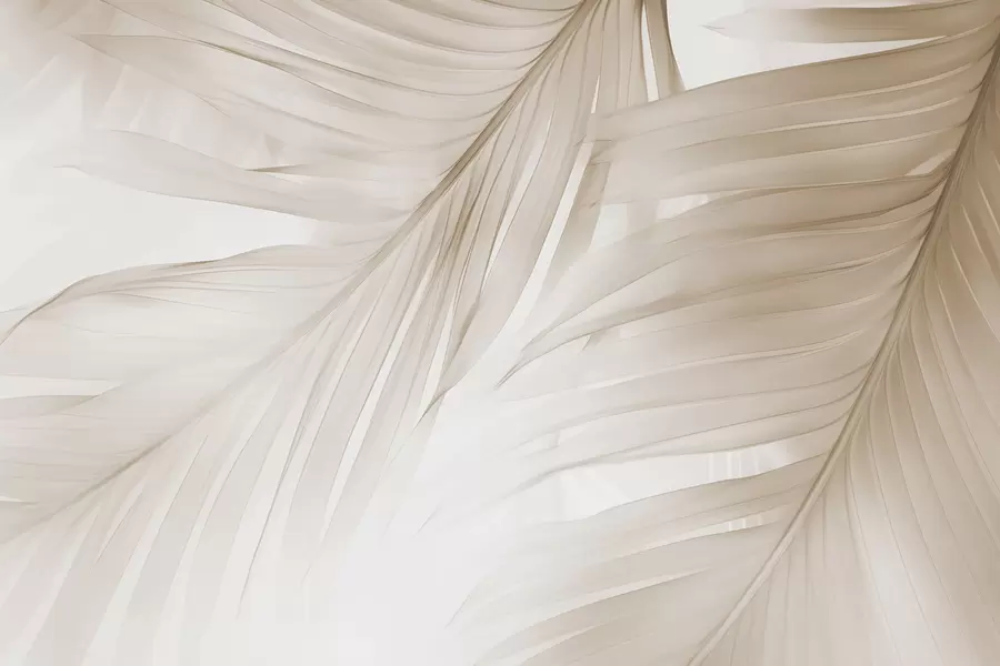 wall murals Листови папрати w04727