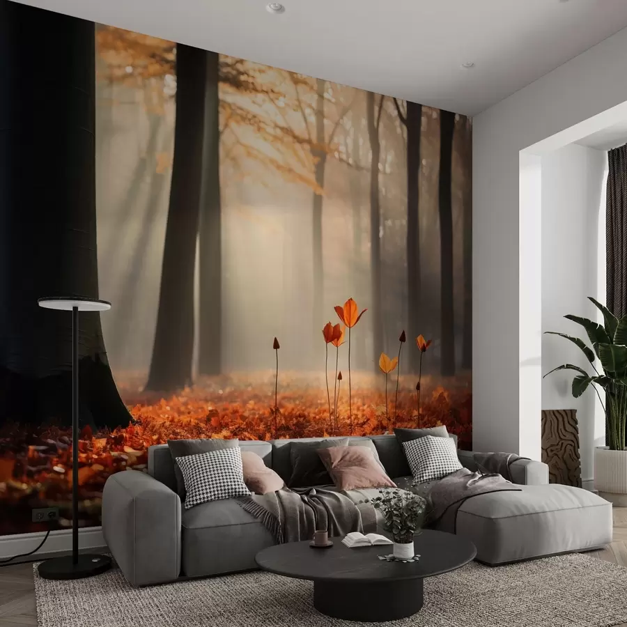 wall murals Јесења шума са сунчевим зрацима и светлим лишћем w04710
