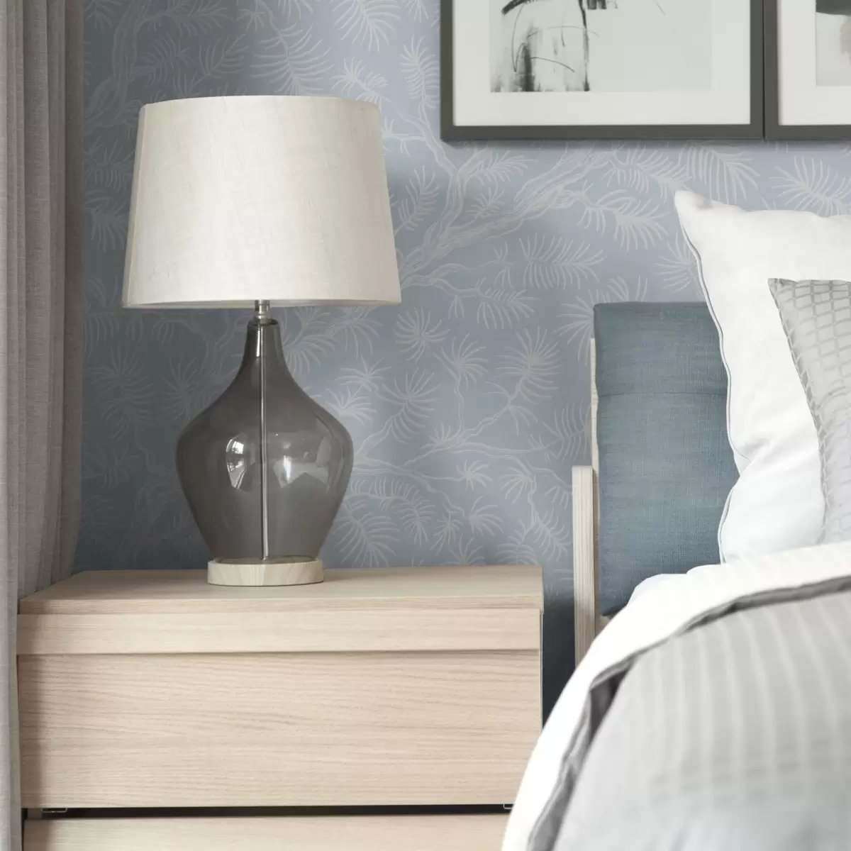 Позадина Борове гране у светлим тоновима на плавој позадини a00838