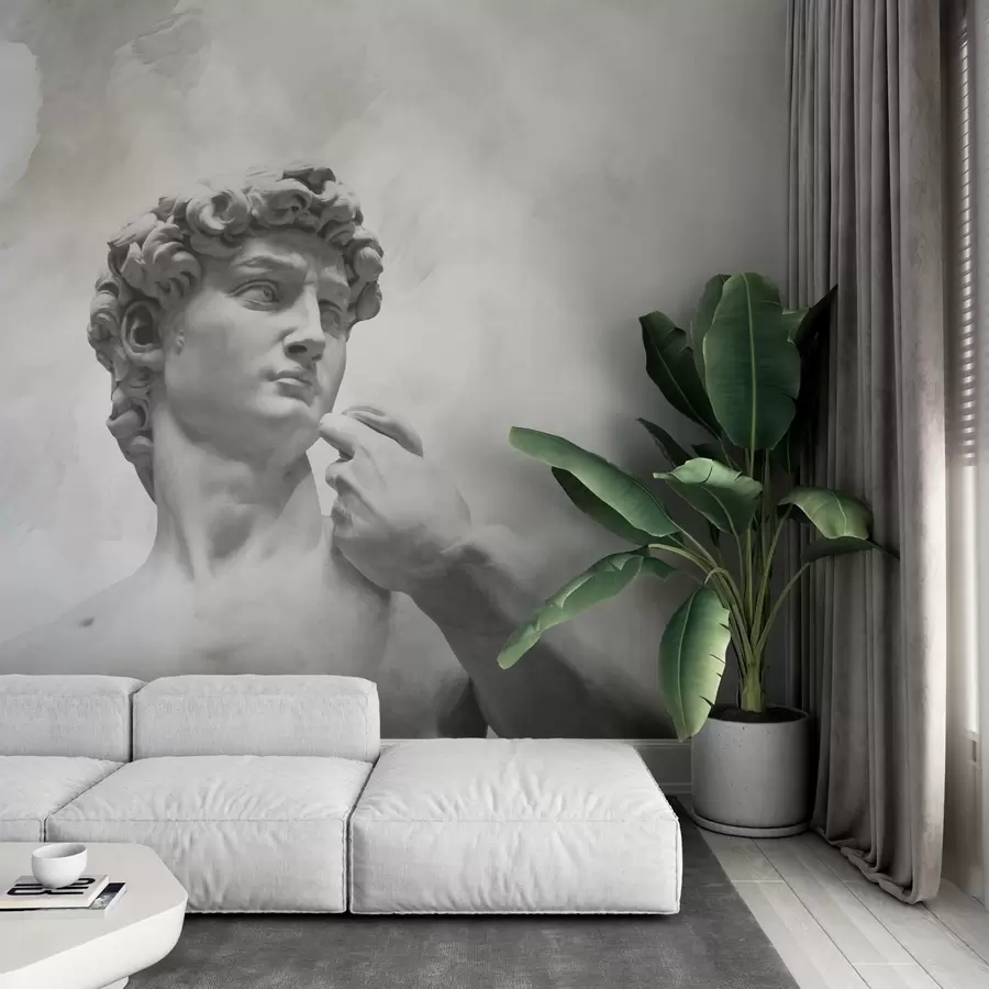 wall murals Дух ренесансе w04767