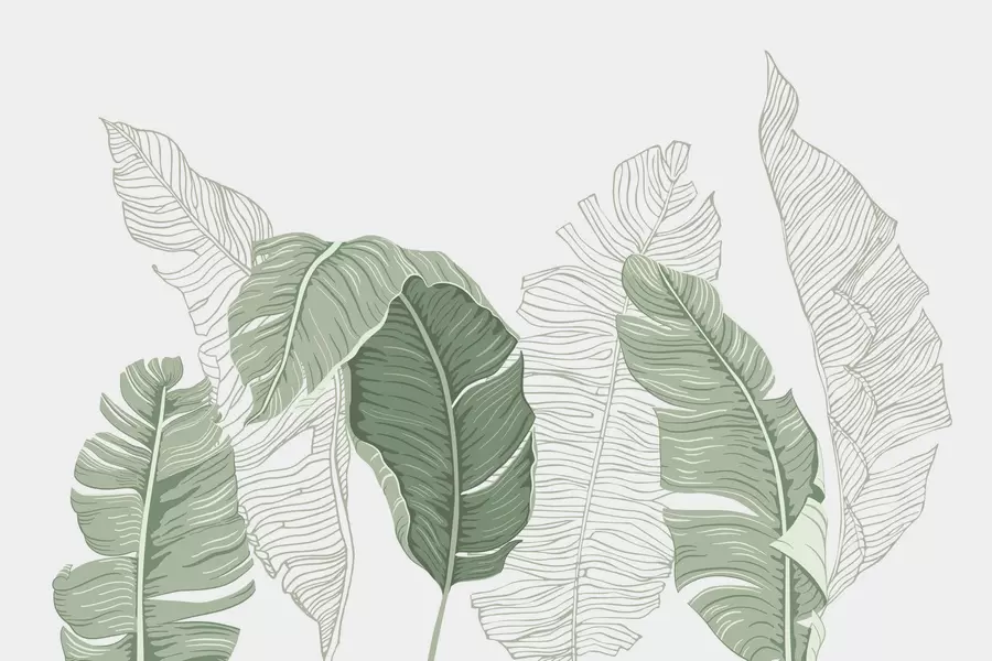 wall murals Лишће w04895