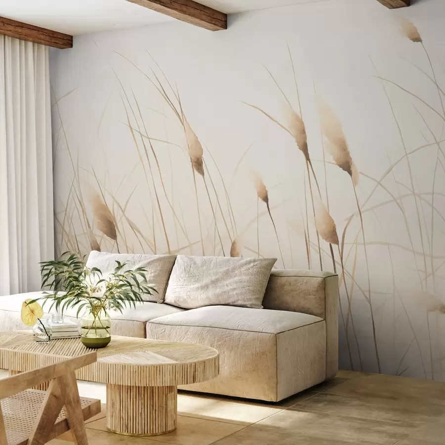 wall murals Пампас w04526