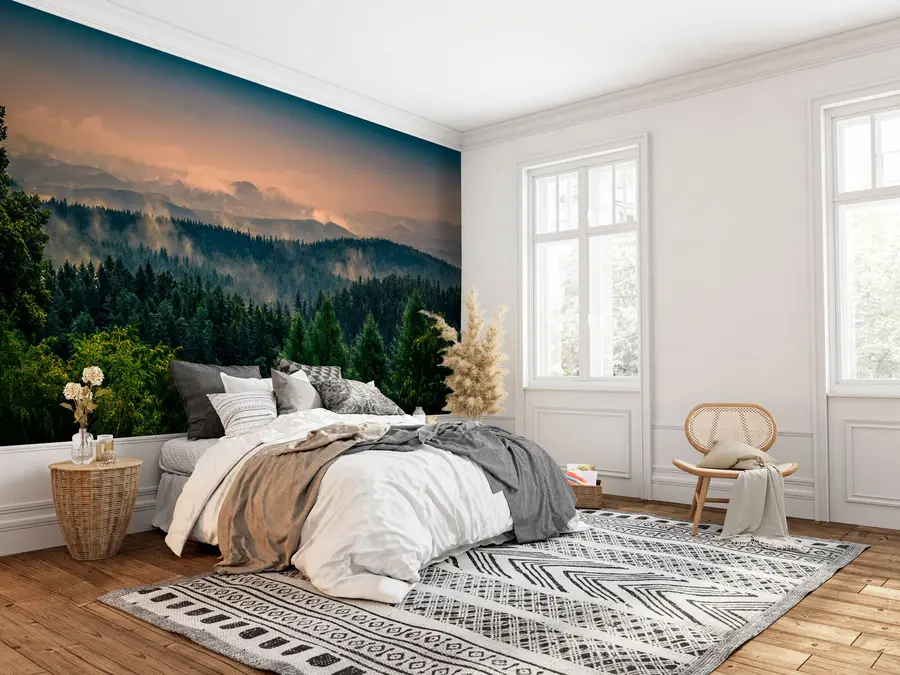 wall murals Дрвеће дрвећа у магли u72174