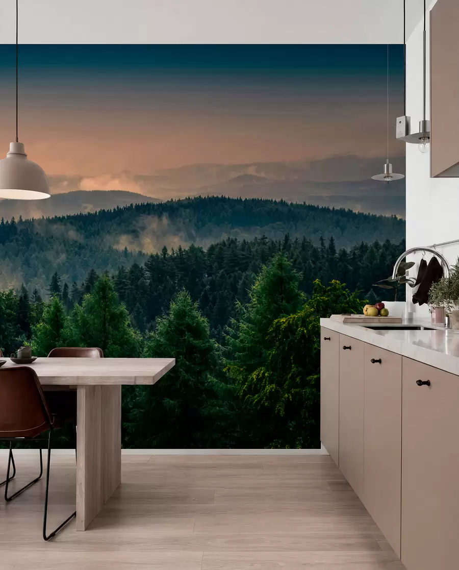 wall murals Дрвеће дрвећа у магли u72174