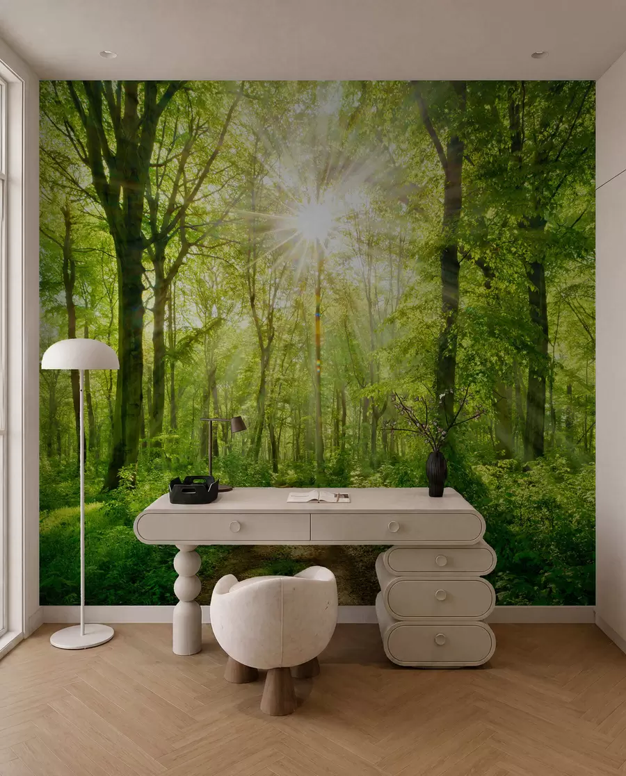 wall murals Стаза у сунчаној шуми u22252