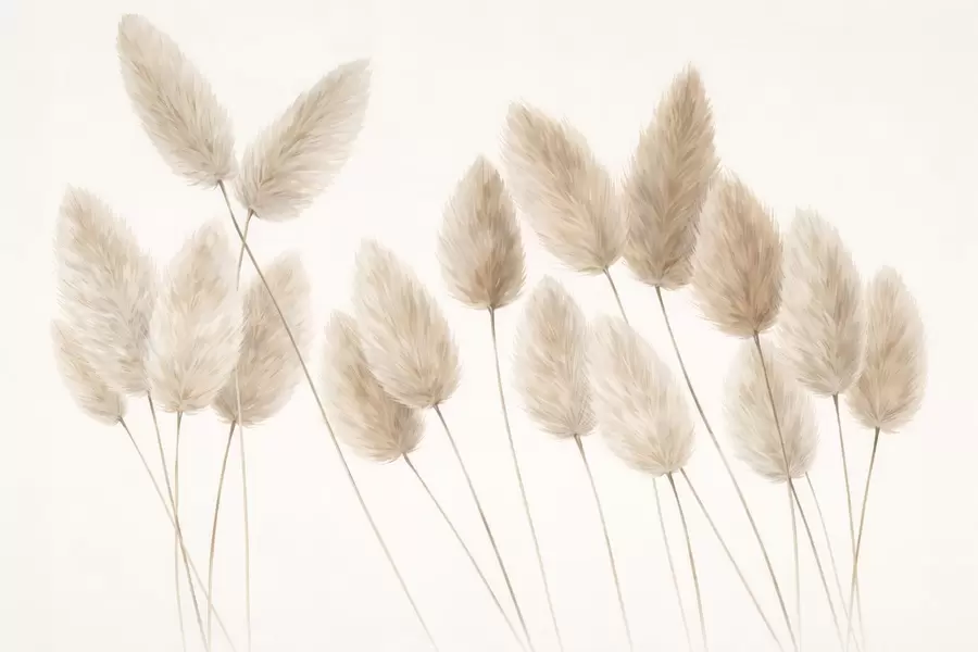 wall murals Пољски класчићи w05175