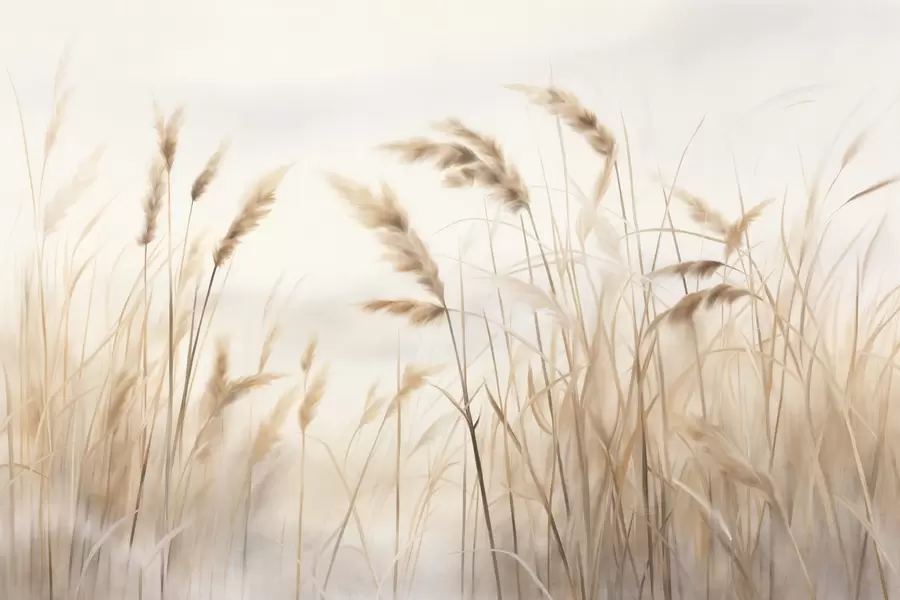 wall murals Висока, текстурирана сува трава са класјевима пшенице на пољу на мекој, бледој позадини w09648