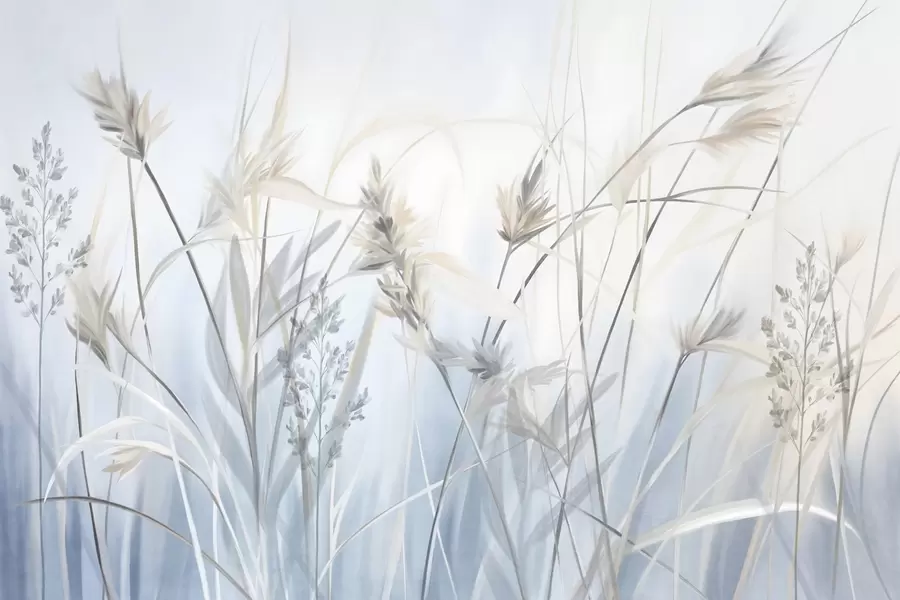 wall murals Високе, суве стабљике траве са пернатим врховима у пригушеним тоновима, мека, магловито плава и бела позадина w09652