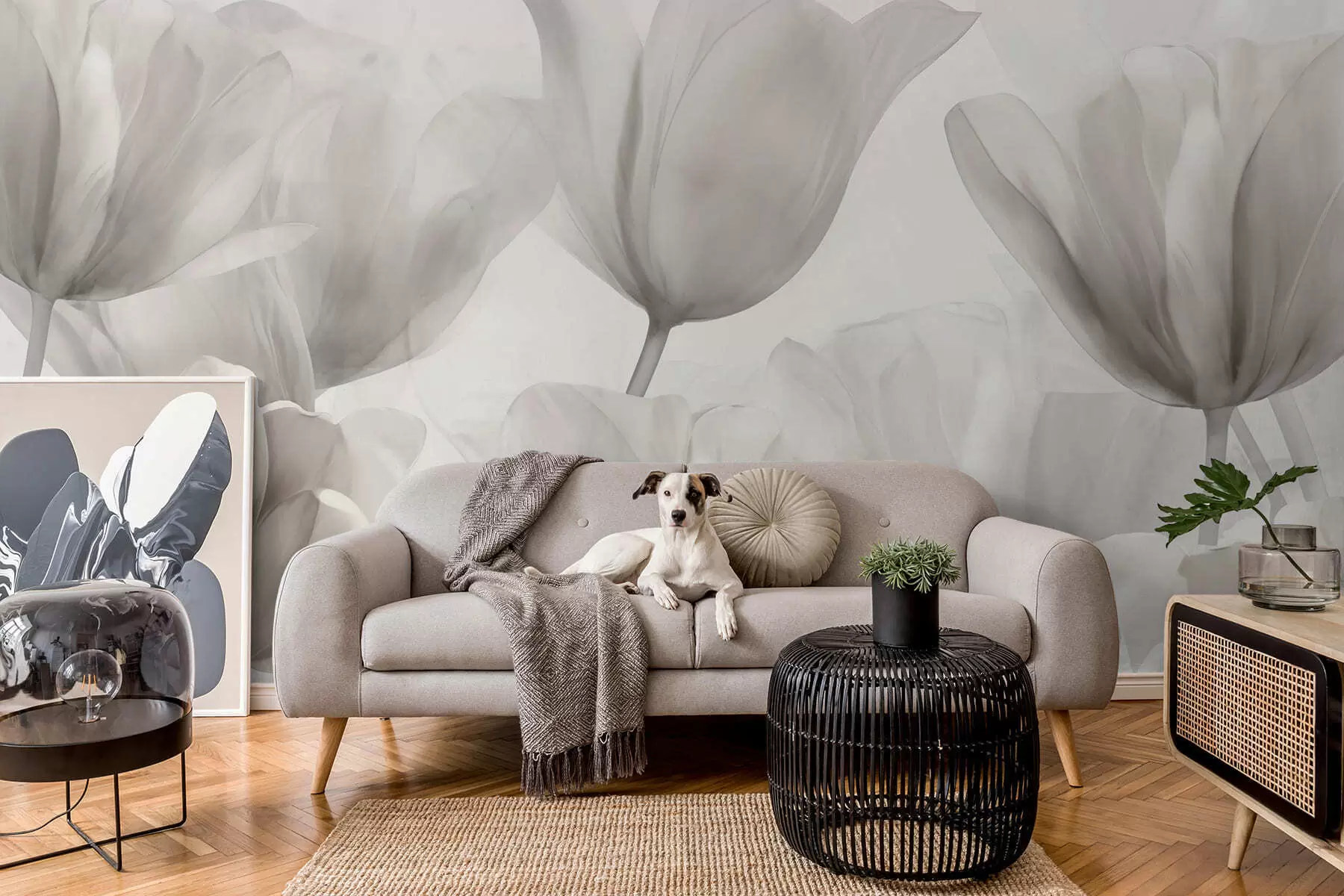 wall murals Нежни тулипани w09699v1