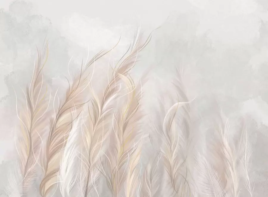 wall murals Меко апстрактно перје у светлим неутралним тоновима w05153