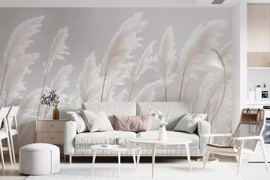 wall murals Мекана бела пампас трава у нежном јутарњем светлу w09717