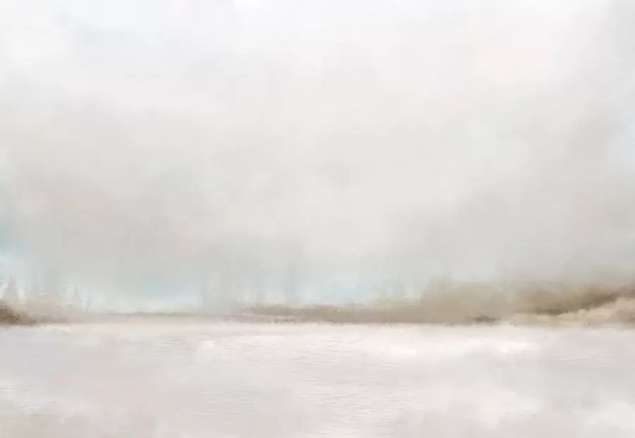 wall murals Магловити пејзаж са језером и шумом w05319