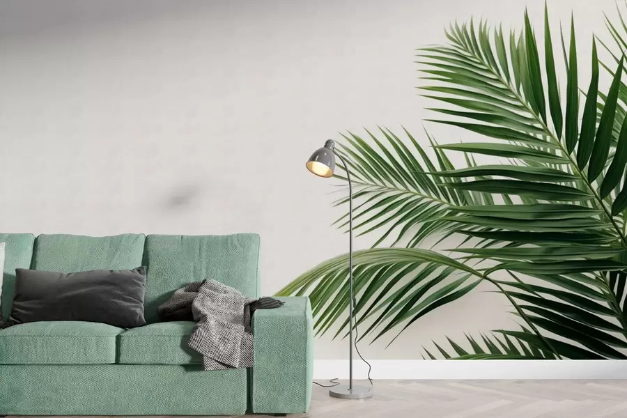 wall murals Зелено палмино лишће на светлој позадини w05391
