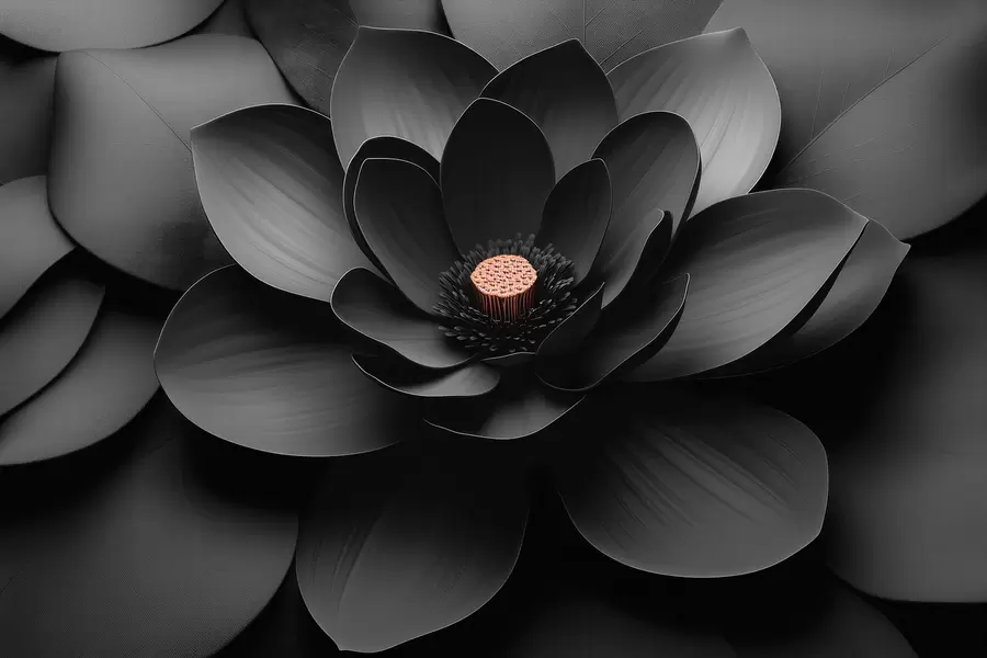 wall murals Минималистички црни цвет са латицама и контрастним топлим средиштем w09721