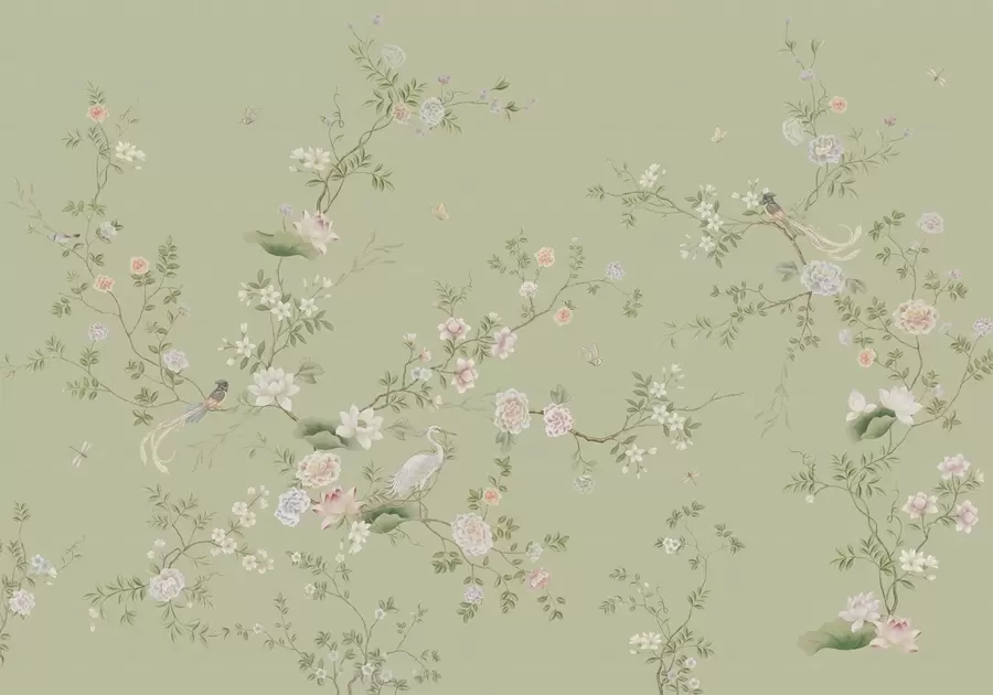wall murals Цветне гране са птицама на светло зеленој боји w05416
