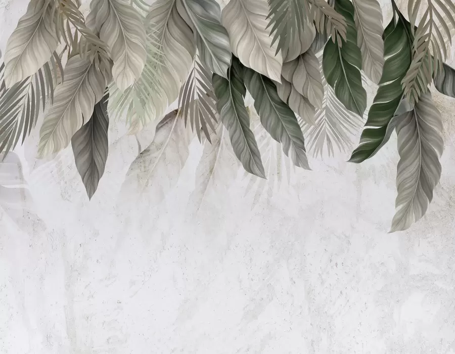 wall murals Тропско висеће лишће на бетону w05521