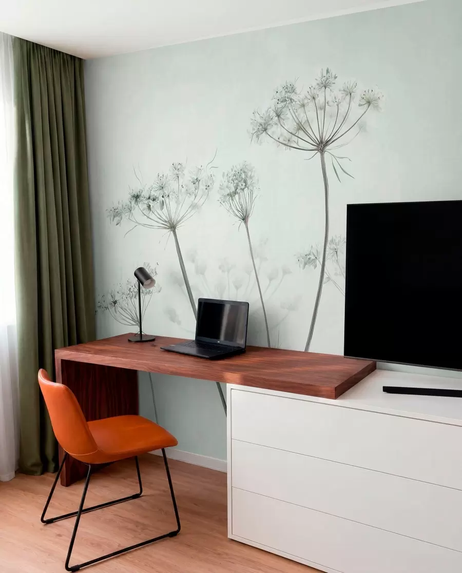 wall murals Нежни сушени кишобрани на мекој светлој позадини w05543v1