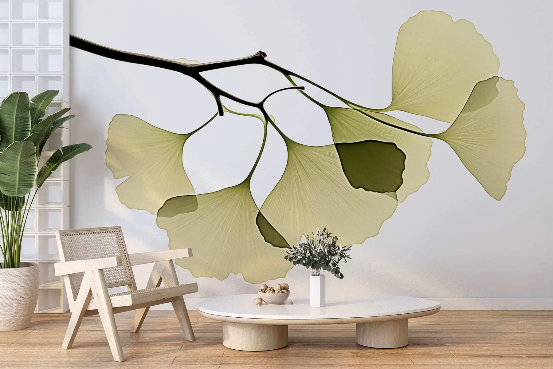 wall murals Листови гинка лепезе w09968