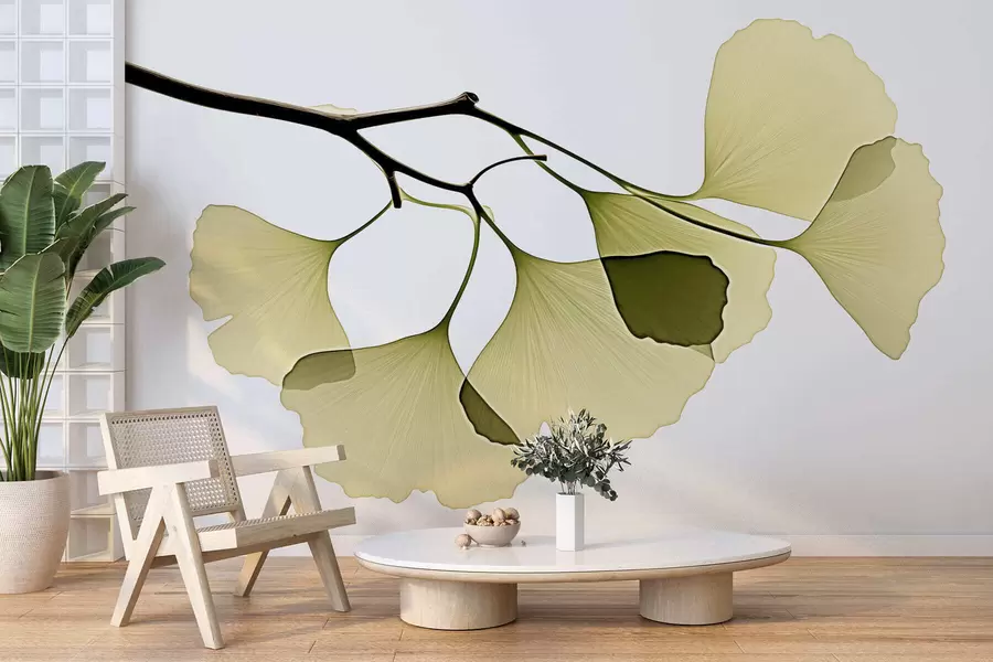 wall murals Листови гинка лепезе w09968