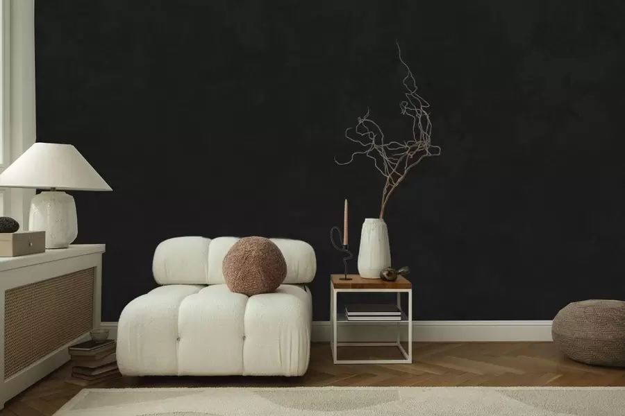 wall murals Дубоки тон угља са меком текстуром и суптилним димљеним прелазима w05814v4