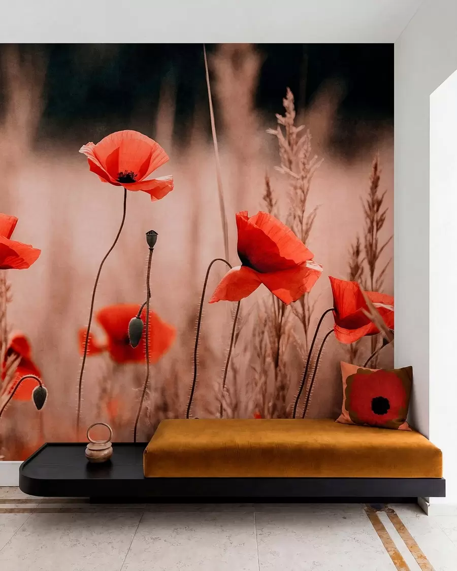 wall murals Светлоцрвени макови међу сувим травама w05866