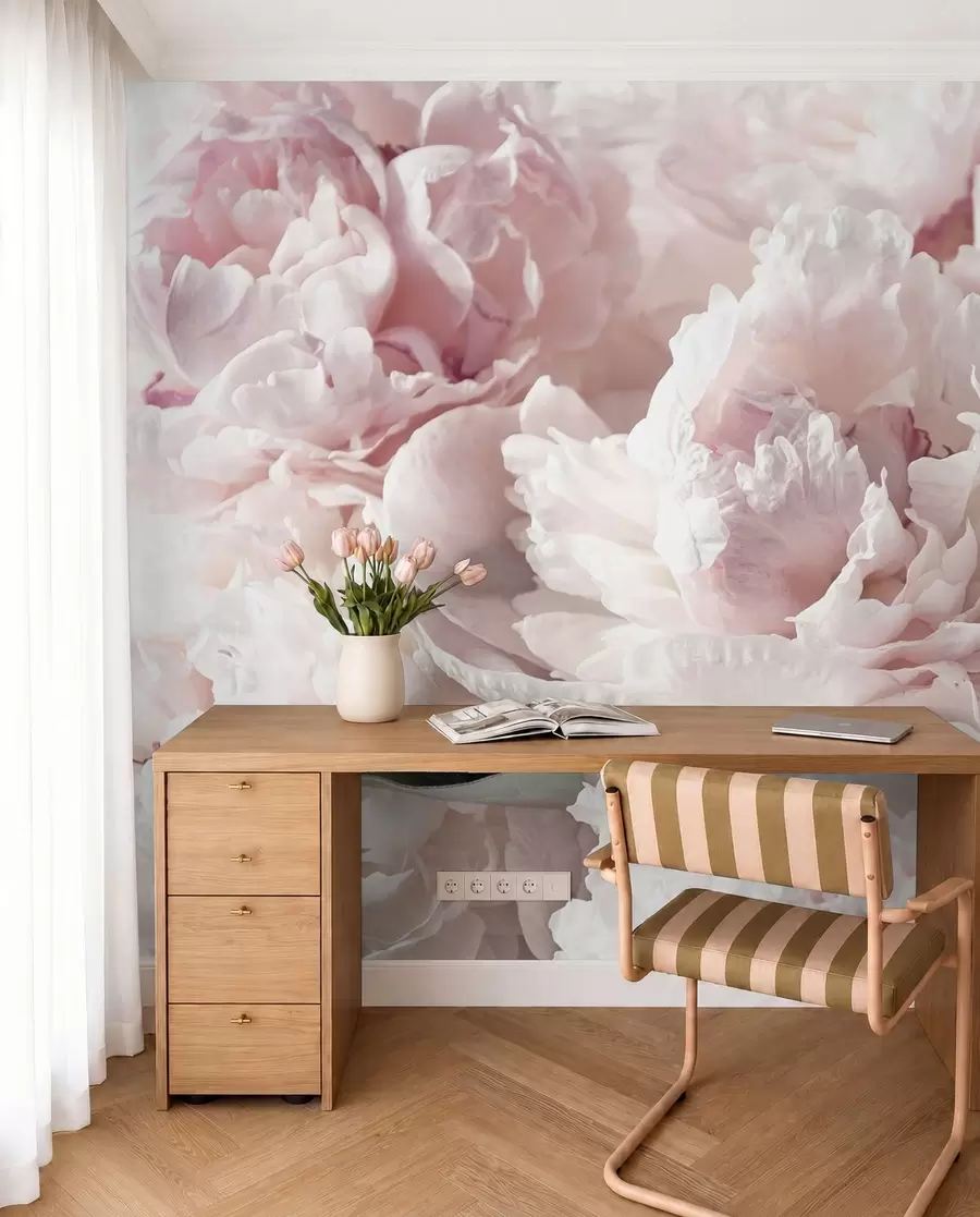 wall murals Бледо ружичасти пеониес u59600